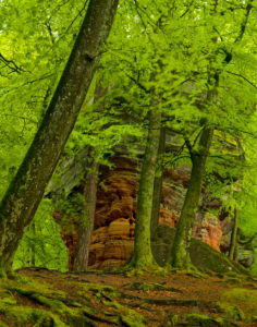 Germany, Rhineland-Palatinate, nature reserve Palatine wood, Eppenbrunn, "Altschlossfelsen" from new red sandstone Germany, Rhineland-Palatinate, nature reserve Palatine wood, Eppenbrunn, "Altschlossfelsen" from new red sandstone